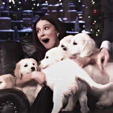 Millie Bobby Brown Interview about Her Pets | TikTok