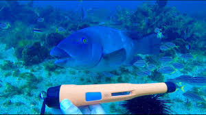 Better for gold prospecting but has some issues. Deteknix Xpointer Pro Found Ocean Treasure Metal Detecting Youtube