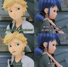 Miraculous Adrinette Meme Miraculous Ladybug Anime Miraculous Ladybug Comic Miraculous Ladybug Memes