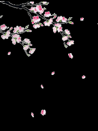 Free motion graphics and animations, free hd and 4k video clips to use in motion video projects, vj loops, backgrounds, graphical overlays, production elements. Animated Gif By Kevin Jken Beautiful Gif Flower Backgrounds Overlays Picsart