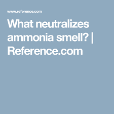 What Neutralizes Ammonia Smell Smelling Ammonia Cleaning