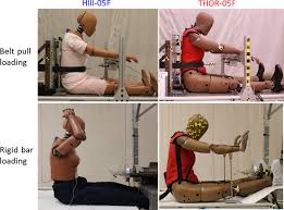 Abdominal biofidelity assessment of 5th percentile female ATD responses  relative to recently developed belt and bar loading corridors