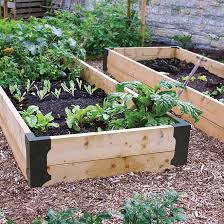 My other raised beds are framed with cinderblock, so this is a new venture. Panacea Garden Brackets Steel Black 4 Pk 89584 Rona