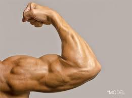 Biceps Implants Male Plastic Surgery Muscle Augmentation Los Angeles