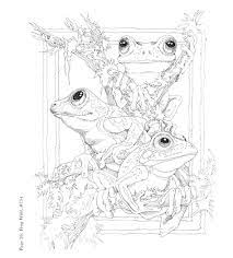 Check spelling or type a new query. 53 Frogs Coloring Pages Ideas Coloring Pages Frog Coloring Pages Coloring Books