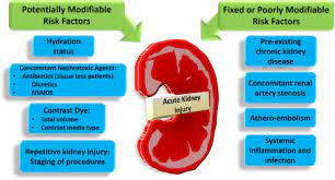 Figure 3 Systemic Inflammation Acute Kidney Injury Kidney Health