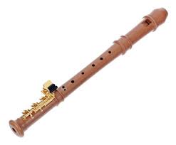 Wann wurde die querflöte erfunden oder besser: Blockfloten Wieder Lernen Als Querflotenabsolventin Musiker Board