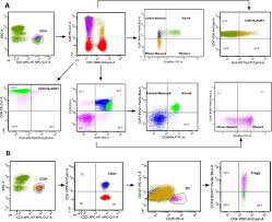 Image result for Absolute Lymphocyte Count Estimation of CD4 Count
