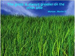 The Grass Is Always Greener On The Other Side The Grass Is Always Greener On The Other Side Green Lawn Care Summer Lawn Care Green Lawn