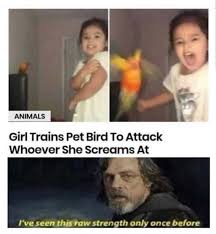 Is It Possible To Learn This Power Really Funny Memes Funny Relatable Memes Really Funny