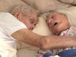 Fenerbahce, turkey's biggest teams and have the greatest fans. After 75 Years Of Marriage This Couple Died In Each Others Arms Hours Apart Bored Panda