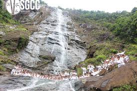 🥇 Teambuilding Vườn Quốc Gia Bạch Mã Thừa Thiên Huế ™ ⭐TravelSGCC⭐ Ngày【28  Tháng Mười Một, 2024】 Việt Nam