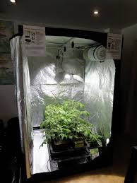Grow Cabinet And Grow Box Ideas How To Develop Plants Indoors Decoration Ideas Zimmerpflanzen Ideen Pflanzen Innengarten