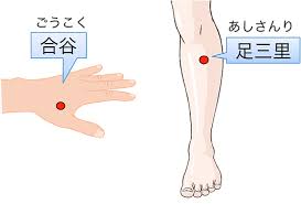 鍼灸治療の効果 - 京都市・桂駅近くの鍼灸院 鍼灸院みらい京都桂