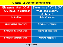 Classical and operant conditioning article. Classical Vs Operant Conditioning