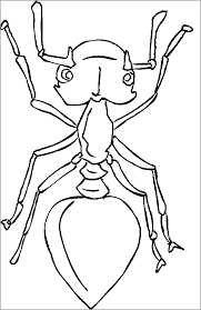 The coloring pages will help your child to focus on details while being relaxed and comfortable. Free Printable Ant Coloring Pages Coloringbay