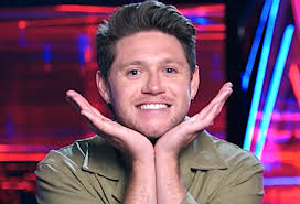 The Voice' Season 28: Niall Horan and Reba McEntire Returning
