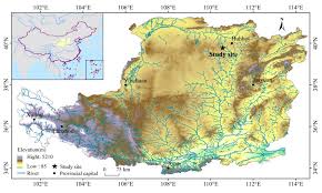 Image result for Polygala melilotoides