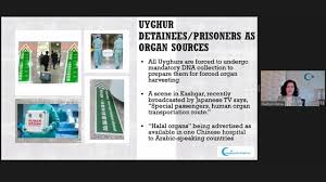 A free online pronunciation dictionary for you give more accurate and better pronunciation for your friends and family members. Xinjiang Genocide Deniers Hyper Cautious Scholars Or Useful Idiots