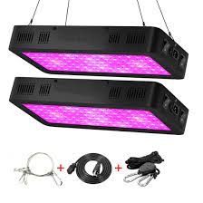 We did not find results for: Veg Bloom Double Switch Full Spectrum Led Grow Light 600w 900w 1200w With Uv Ir