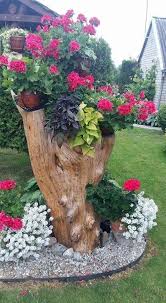 Altaria Jardineria Bahce Tasarim Fikirleri Bitki Bahce Fikirleri