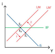 Is Lm Bp Model Policonomics In 2021 Bp Model Chart