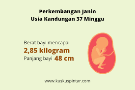 Sejak masih di dalam kandungan, bayi sebenarnya sudah bisa mendengar dan merespons berbagai cara sederhana bisa bunda lakukan untuk membangun ikatan dengan si calon bayi. Usia Kandungan 37 Minggu Apakah Ibu Hamil Siap Melahirkan