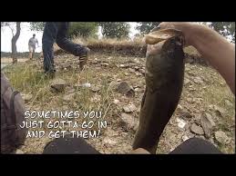 Bass Fishing Rancho Murieta, Lake Calero.