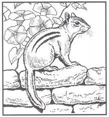 Over 1000 free animal coloring pages of lions, tigers, elephants, zoo animals, bears, ocean animals and more. Pin On Clip Art
