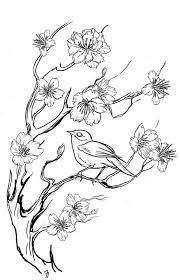 croquis sakura pour tattoo mademoiselle hirondelle dessin de fleurs au crayon coloriage art doodle imprimable