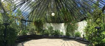 Wie das möglich ist, erfahren sie, wenn sie auf dieses bild klicken. Alter Botanischer Garten Der Universitat Zurich Design Biennale Zurich 2019