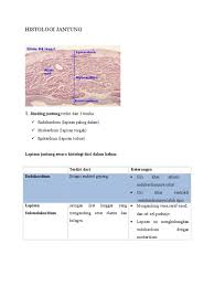 Hiasan dinding wallpaper kamar buatan sendiri minimalis. Histologi Jantung 1