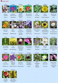 Run Bts 2020 On Twitter In 2020 Birth Flowers April Birth Flower Flower Meanings