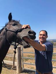 According to prince harry, he saw an intense correlation between his wife and his late mother, something he said was only escalated by racial tensions and social media. Lavender Equestrian Posts Facebook