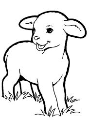 We did not find results for: Lamb Coloring Pages Resume Format Download Pdf Farm Coloring Home