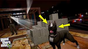 Polis Her Yerde Sahibini Isiran Yavru Pitbull U Ariyor Gta 5 Youtube