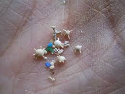 Check spelling or type a new query. The Star Shaped Sand Grains On The Beach Of Iriomote Island Japan