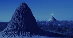 Bildergebnis für Saodat Ismailova