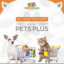 We did not find results for: Pets Plus Uae Pet Service Pet Store Facebook