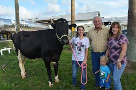Dairy business in Manatee County faces uncertain future