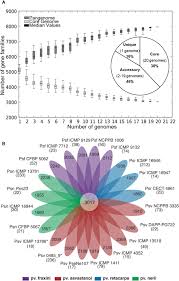 Image result for pseudomonas savastanoi pv nerii oleander symptoms