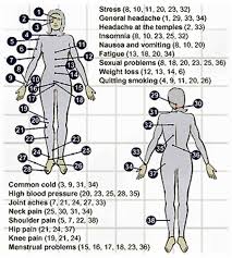 64 Punctual Human Body Pressure Points