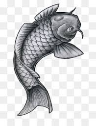 Lele merupakan jenis ikan tahan banting yang bisa hidup diberbagai kondisi. Ikan Skala Unduh Gratis Skala Ilustrasi Hitam Sisik Ikan Gambar Png