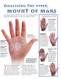 Analysing The Upper Mount Of Mars Palmistry Reading Palm Reading Palmistry