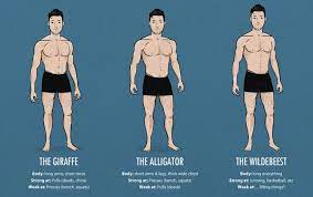 Then, finish the program with 4 weeks of an additional ~250 calorie deficit (500 calorie deficit total). Pin On Fitness Articles