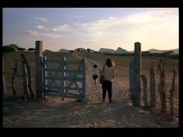 Matheus nachtergaele, fernanda montenegro, marília pêra and others. Central Station Trailer 1998 Youtube