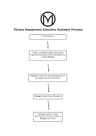 Fitness Assessment Executive Summary Process Flow Chart