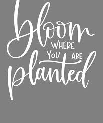 We're a bad influence because we incite change through inclusion, thought and creativity. Lettered Bloom Where You Are Planted Gardening Quotes Digital Art By Stacy Mccafferty