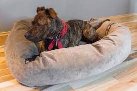 The Best Dog Beds Reviews By Wirecutter