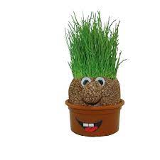 Check out our lizard plant holder selection for the very best in unique or custom, handmade pieces from our shops. Pink Lizard Mini Diy Magic Grass Plant Pot Head Doll Desktop Office Potted Home Decor Home Urbytus Com
